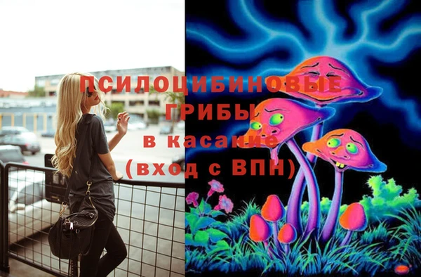 прущая мука Верея