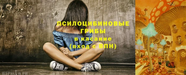 spice Вяземский