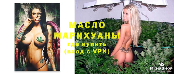 сатива Вязьма