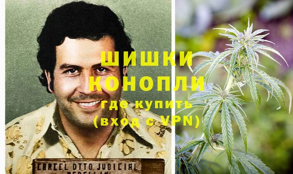 spice Вяземский