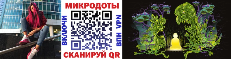 Псилоцибиновые грибы Psilocybe  Купить закладки  Зуевка 